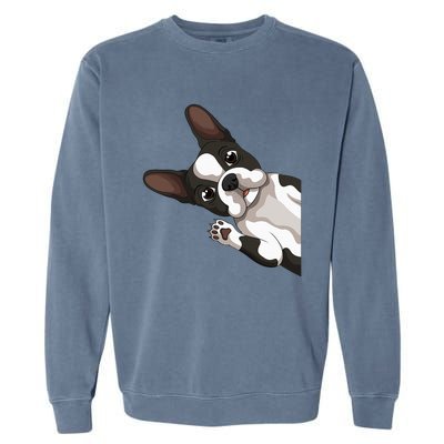 Boston Terrier Bostie Dog Garment-Dyed Sweatshirt