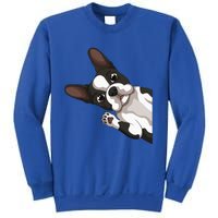 Boston Terrier Bostie Dog Sweatshirt