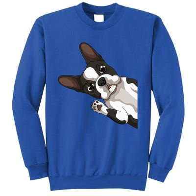 Boston Terrier Bostie Dog Sweatshirt