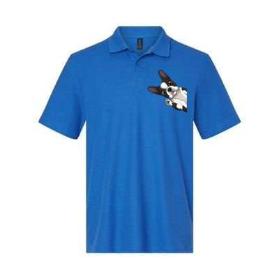 Boston Terrier Bostie Dog Softstyle Adult Sport Polo