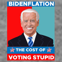 Bidenflation The Cost Of Voting Stupid Funny Joe Biden Women's V-Neck T-Shirt
