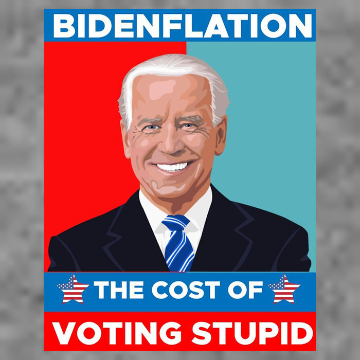 Bidenflation The Cost Of Voting Stupid Funny Joe Biden Women's V-Neck T-Shirt