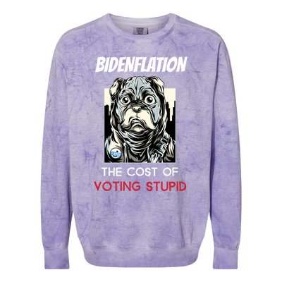 Bidenflation The Cost Of Voting Stupid Biden Inflation Gift Colorblast Crewneck Sweatshirt