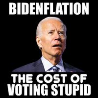 Bidenflation The Cost Of Voting Stupid Funny Cooling Performance Crew T-Shirt