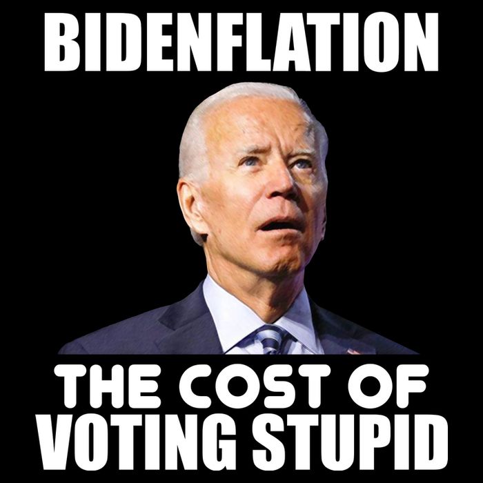 Bidenflation The Cost Of Voting Stupid Funny Cooling Performance Crew T-Shirt