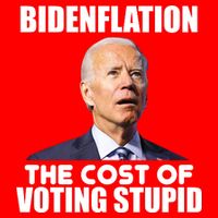 Bidenflation The Cost Of Voting Stupid Funny Flatbill Hat
