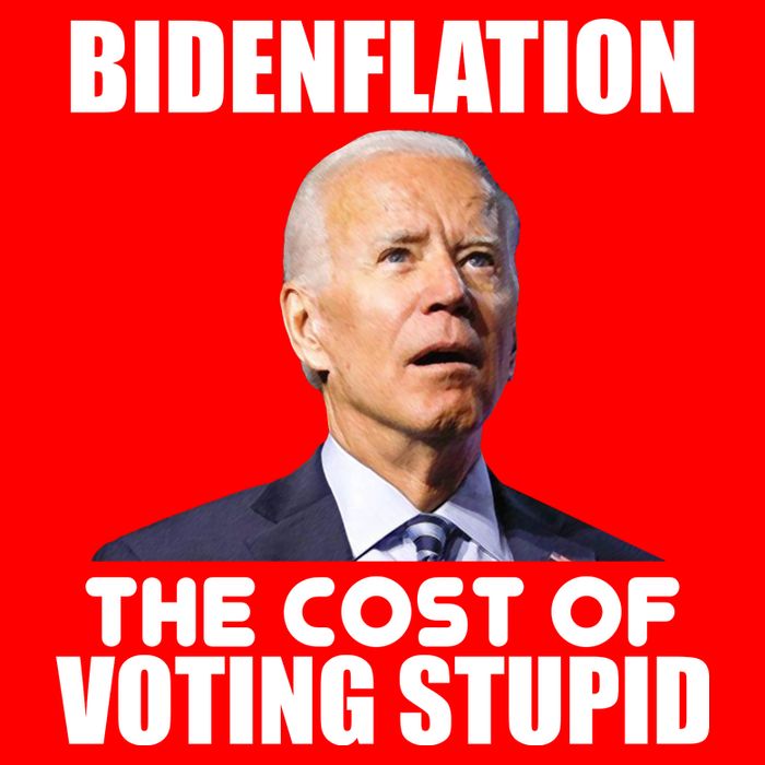 Bidenflation The Cost Of Voting Stupid Funny Flatbill Hat