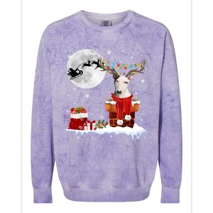 Bull Terrier Chimney Ugly Christmas Lights Xmas Pajamas Funny Gift Colorblast Crewneck Sweatshirt