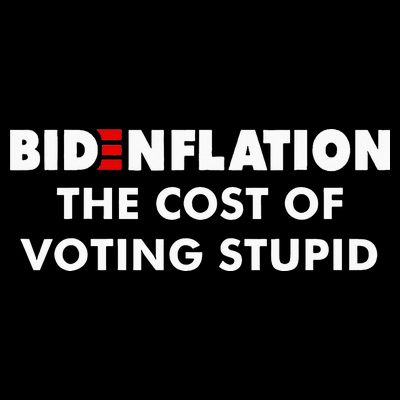 Bidenflation The Cost Of Voting Stupid Funny Biden flation T-Shirt