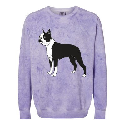 Boston Terrier Dog Breed Gift For Any Animal Fan Colorblast Crewneck Sweatshirt