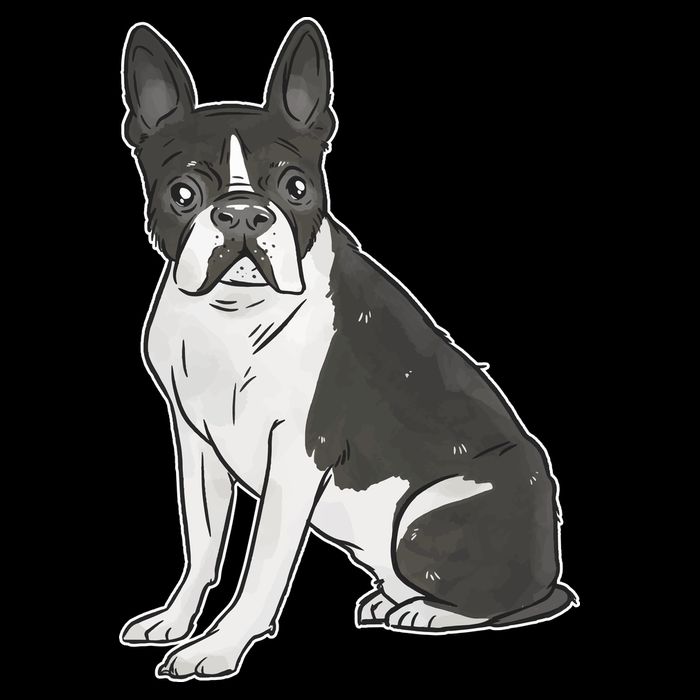 Boston Terrier Dog Backpack