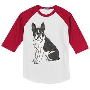 Boston Terrier Dog Kids Colorblock Raglan Jersey