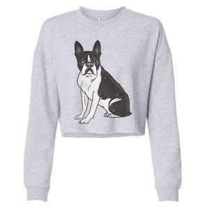 Boston Terrier Dog Cropped Pullover Crew