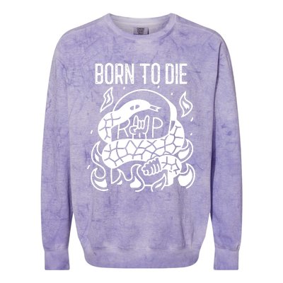 Born To Die Heavy Metal Rattlesnake Rip Tombstone Colorblast Crewneck Sweatshirt