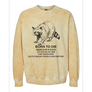 Born To Die Em All 1989 I Am Trash Man Racoon Colorblast Crewneck Sweatshirt