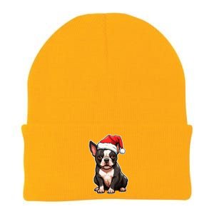 Boston Terrier Dog Wearing Santa Hat Xmas Holiday Christmas Knit Cap Winter Beanie