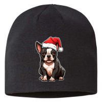 Boston Terrier Dog Wearing Santa Hat Xmas Holiday Christmas Sustainable Beanie