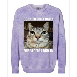 Born To Dilly Dallly Forced To Lock In Cat Lover Colorblast Crewneck Sweatshirt