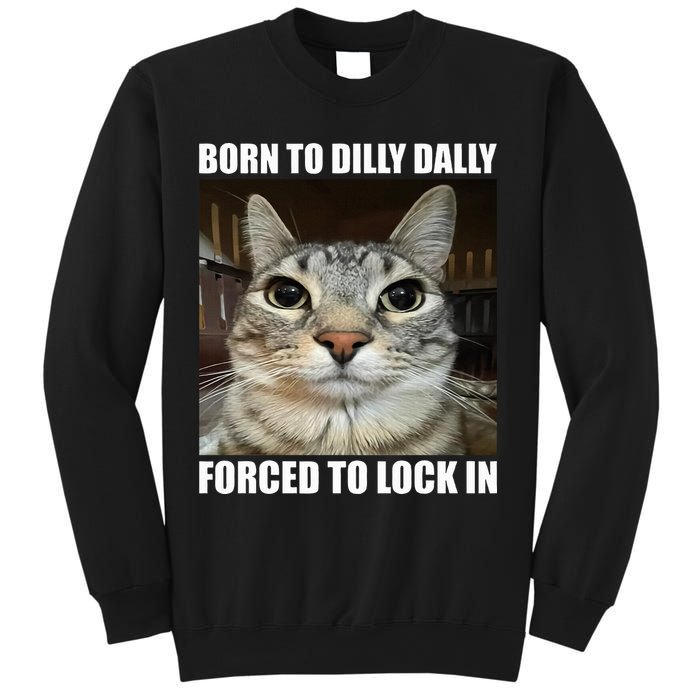 Born To Dilly Dallly Forced To Lock In Cat Lover Sweatshirt