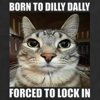 Born To Dilly Dallly Forced To Lock In Cat Lover 15oz Campfire Ceramic Mug