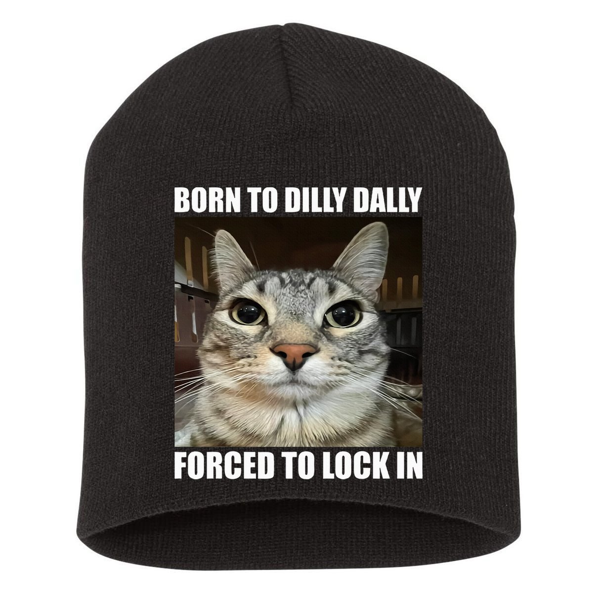 Born To Dilly Dallly Forced To Lock In Cat Lover Short Acrylic Beanie