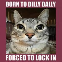 Born To Dilly Dallly Forced To Lock In Cat Lover 16oz Travel Tumbler