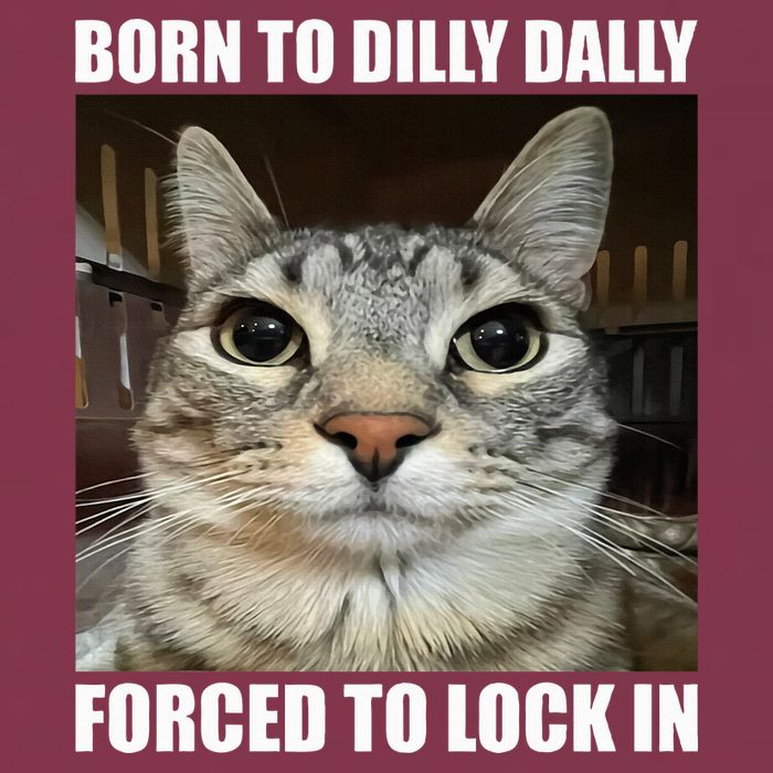 Born To Dilly Dallly Forced To Lock In Cat Lover 16oz Travel Tumbler