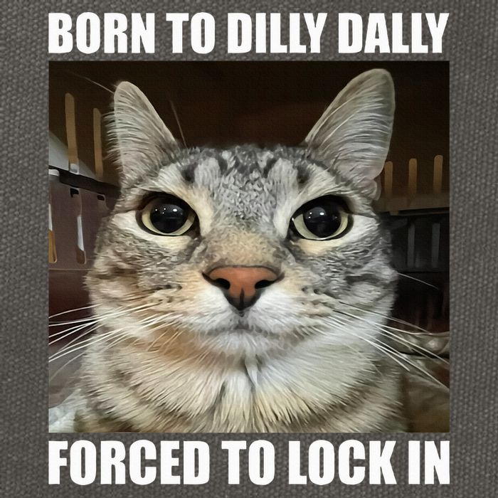 Born To Dilly Dallly Forced To Lock In Cat Lover Cotton Canvas Backpack