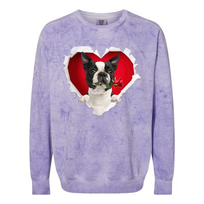 Boston Terrier Dog Rose Heart Valentines Day Couple Funny Gift Colorblast Crewneck Sweatshirt