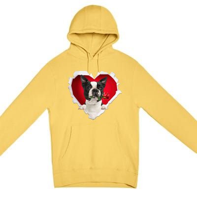 Boston Terrier Dog Rose Heart Valentines Day Couple Funny Gift Premium Pullover Hoodie