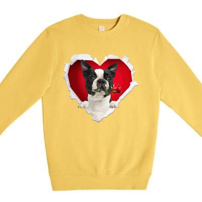 Boston Terrier Dog Rose Heart Valentines Day Couple Funny Gift Premium Crewneck Sweatshirt