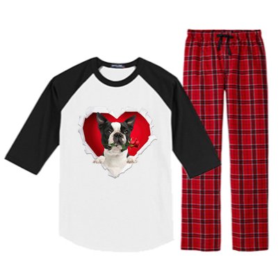 Boston Terrier Dog Rose Heart Valentines Day Couple Funny Gift Raglan Sleeve Pajama Set