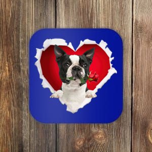 Boston Terrier Dog Rose Heart Valentines Day Couple Funny Gift Coaster