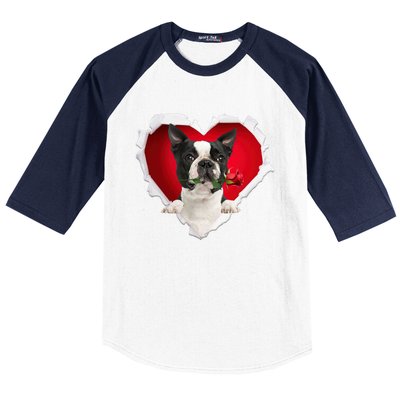 Boston Terrier Dog Rose Heart Valentines Day Couple Funny Gift Baseball Sleeve Shirt