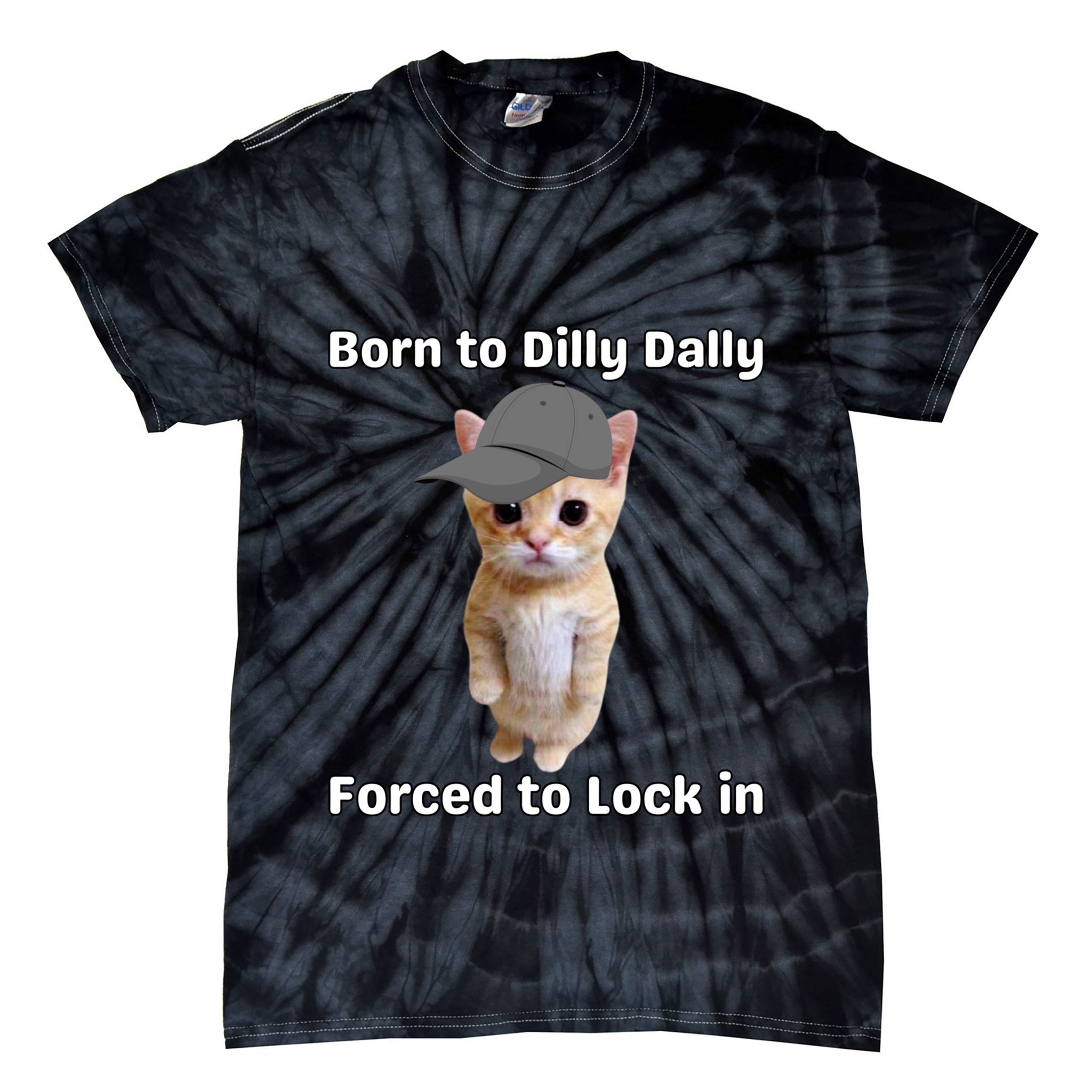 Born To Dilly Dally Forced To Lock In Cat Tie-Dye T-Shirt
