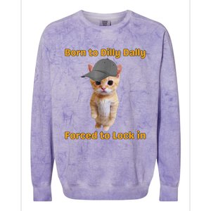 Born To Dilly Dally Forced To Lock In Cat Colorblast Crewneck Sweatshirt