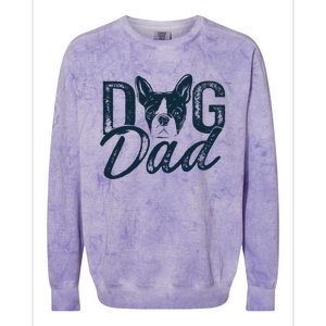 Boston Terrier Dog Dad Colorblast Crewneck Sweatshirt