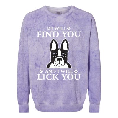 Boston Terrier Dog Lover Colorblast Crewneck Sweatshirt