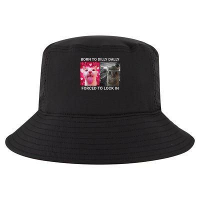 Born To Dilly Dally Forced To Lock In Funny Meme Cute Cat Cool Comfort Performance Bucket Hat