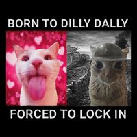 Born To Dilly Dally Forced To Lock In Funny Meme Cute Cat Button