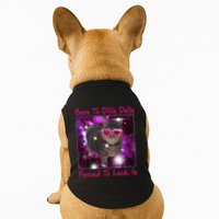 Born To Dilly Dally Forced To Lock In Cat Meme .Png Doggie Tank