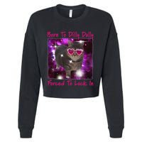 Born To Dilly Dally Forced To Lock In Cat Meme .Png Cropped Pullover Crew