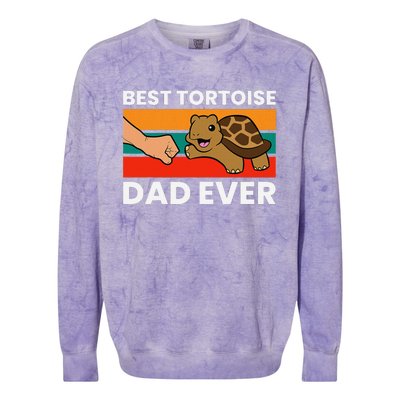 Best Tortoise Dad Ever Colorblast Crewneck Sweatshirt