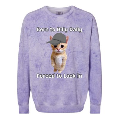 Born To Dilly Dally Forced To Lock In Cat Colorblast Crewneck Sweatshirt