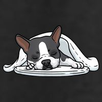 Boston Terrier Dog Sleeping 7 Panel Mesh Trucker Snapback Hat