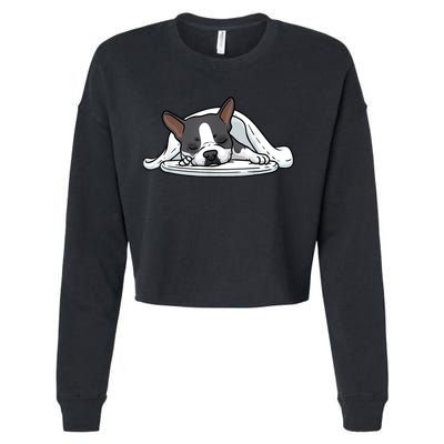 Boston Terrier Dog Sleeping Cropped Pullover Crew