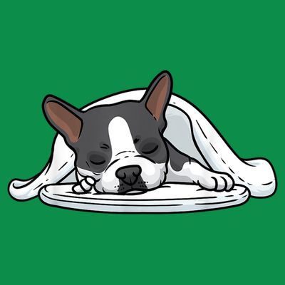 Boston Terrier Dog Sleeping T-Shirt