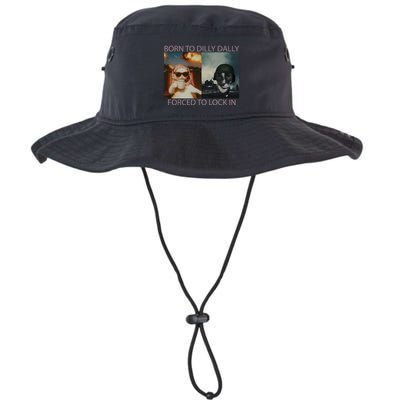 Born To Dilly Dally Forced To Lock In Cat Meme Bucket Hat
