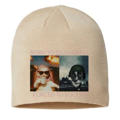 Born To Dilly Dally Forced To Lock In Cat Meme Sustainable Beanie