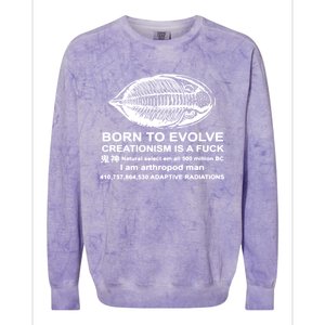 Born To Evolve Creationism Is A Fuck Adult Humor Colorblast Crewneck Sweatshirt